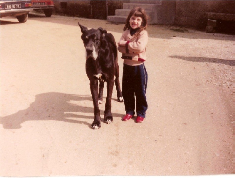 Vicking des Fauvelles : ma première rencontre avec le Dogue